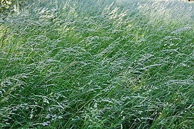 《街头霸王6》官方漫画5月6日首期免费看